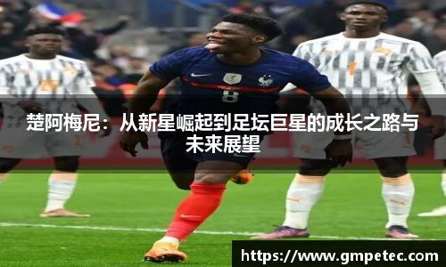 芒果体育